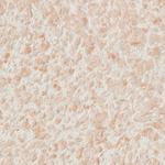 Жидкие обои Silk Plaster Рельеф 327 розовые 0,879 кг 1015430