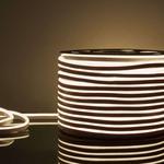 Гибкий неон 230 В Elektrostandard уличный естественный белый 50 м (a052994) 1021079