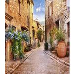 Фотообои Ateliero Французская мостовая 21-8027 (2х1,3 м)