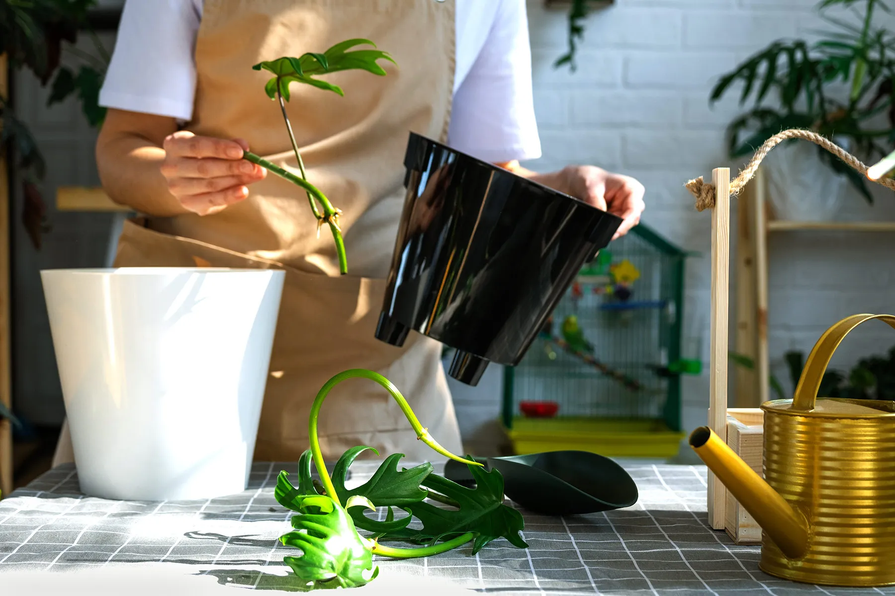 Двойное кашпо «на мокрых пяточках»