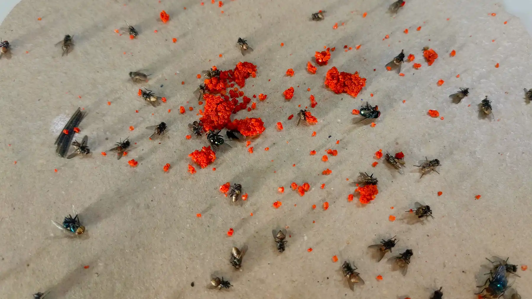 Средство от мух в гранулах