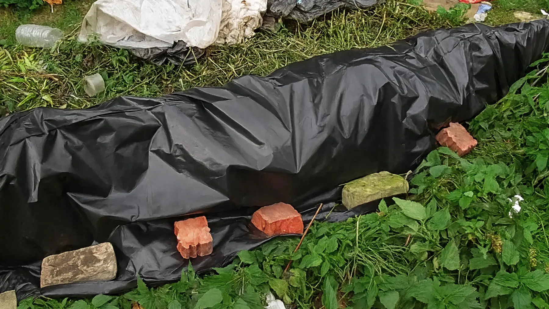 Укрытие винограда на зиму пленкой