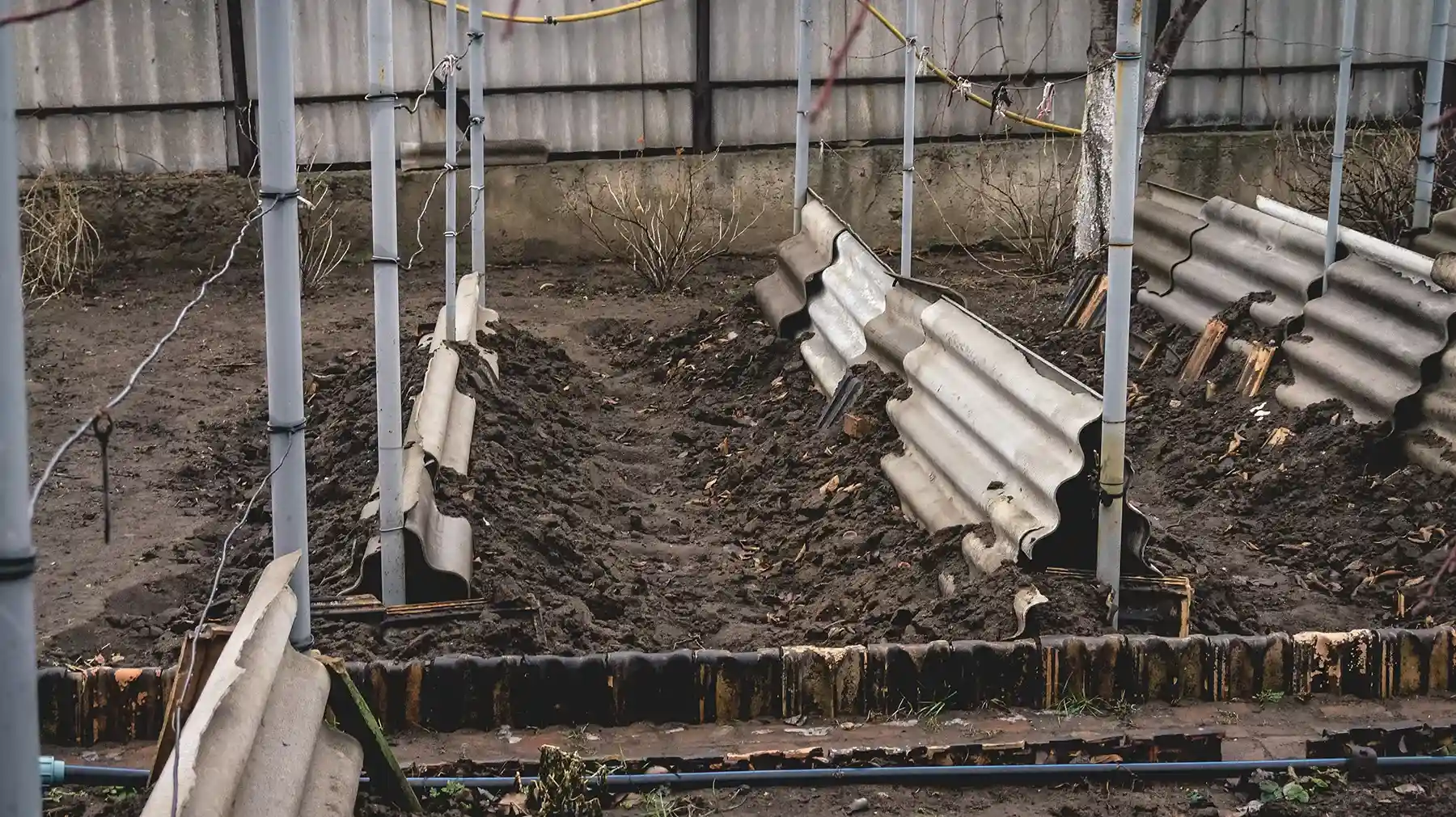 Укрытие винограда на зиму шифером