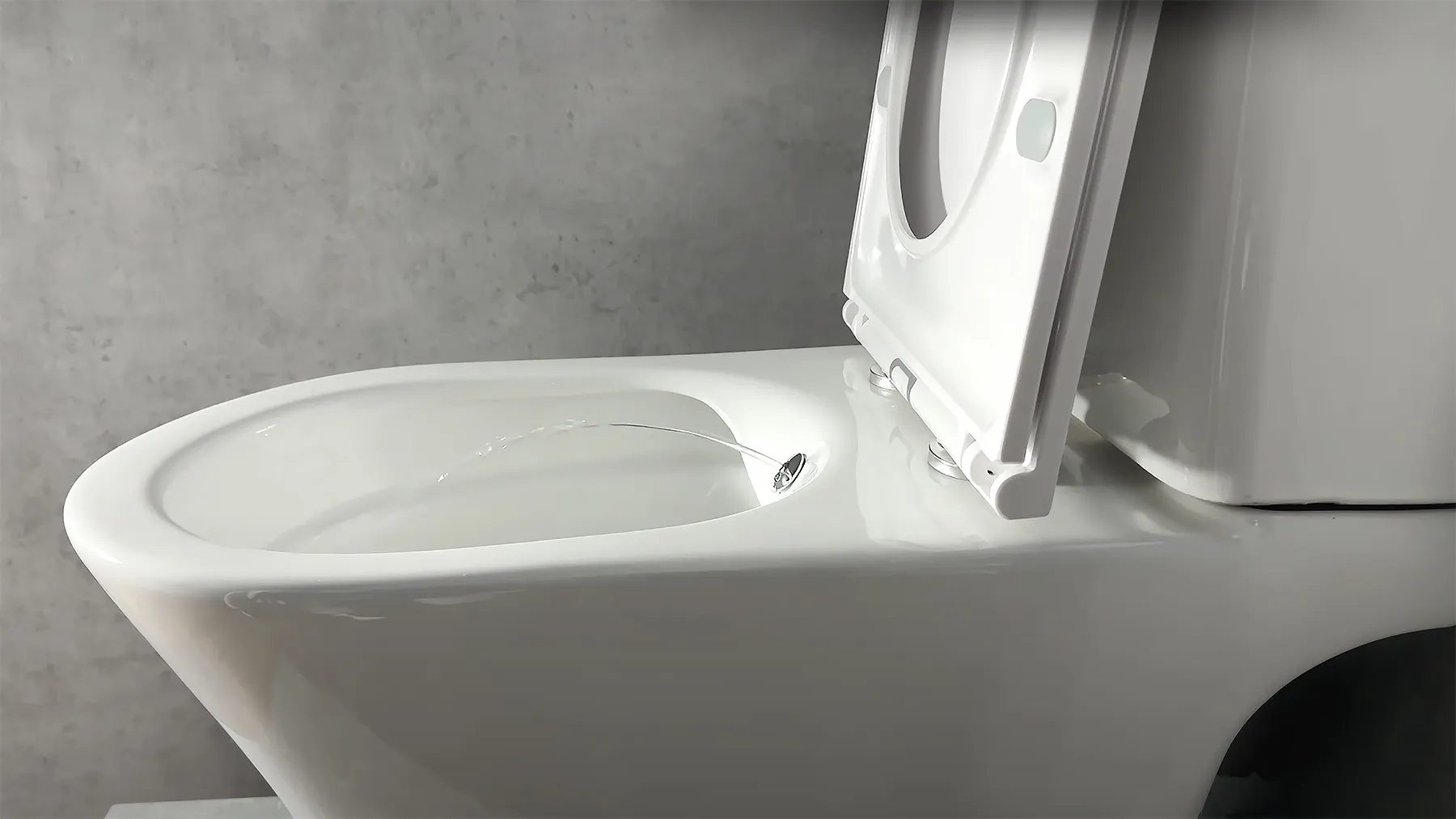 Унитаз-биде