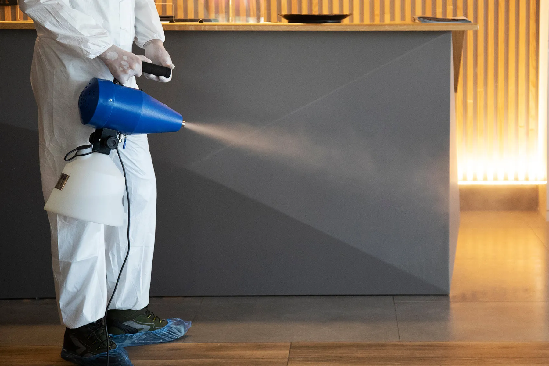 Профессиональная обработка помещения от блох