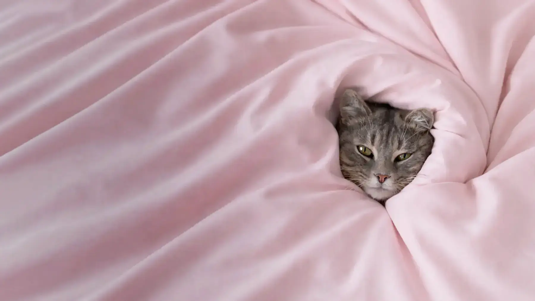 Как выбрать одеяло: 11 ключевых критериев