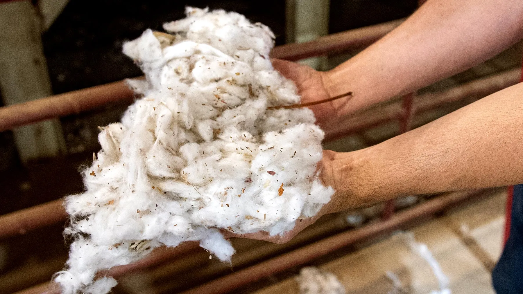 Наполнитель из хлопкового волокна