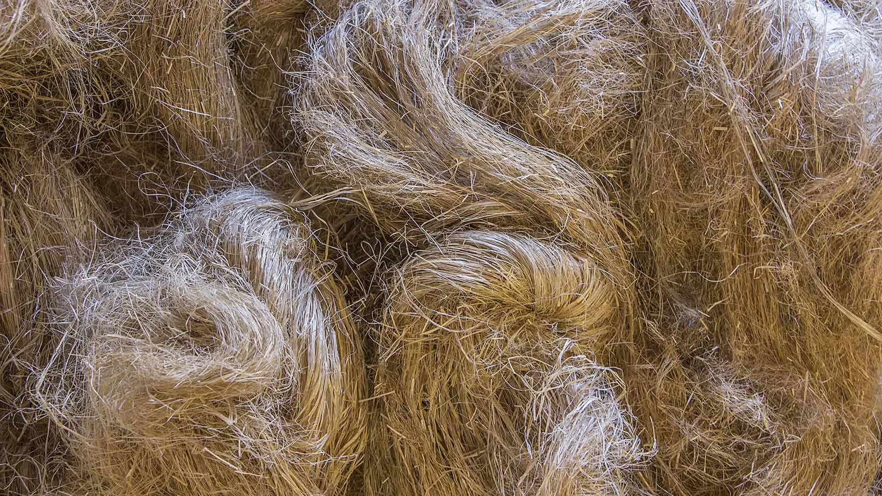 Льняные волокна