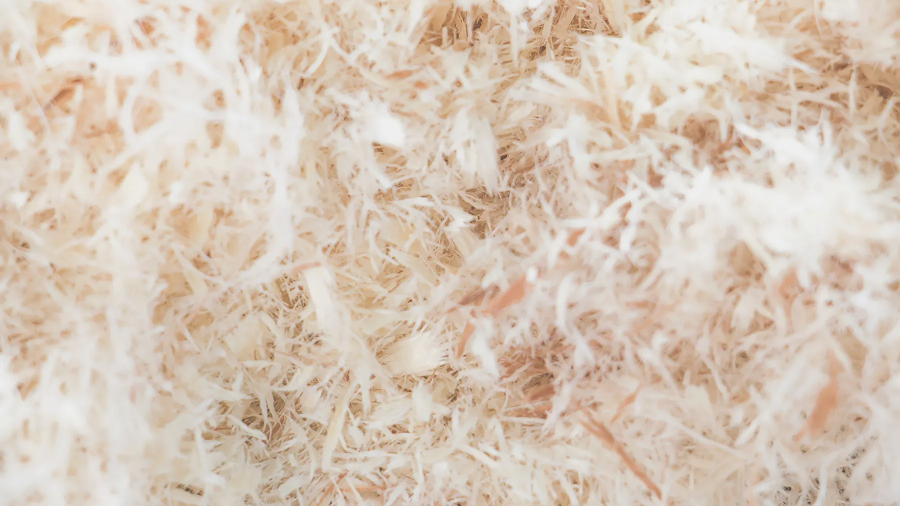 Эвкалиптовое волокно