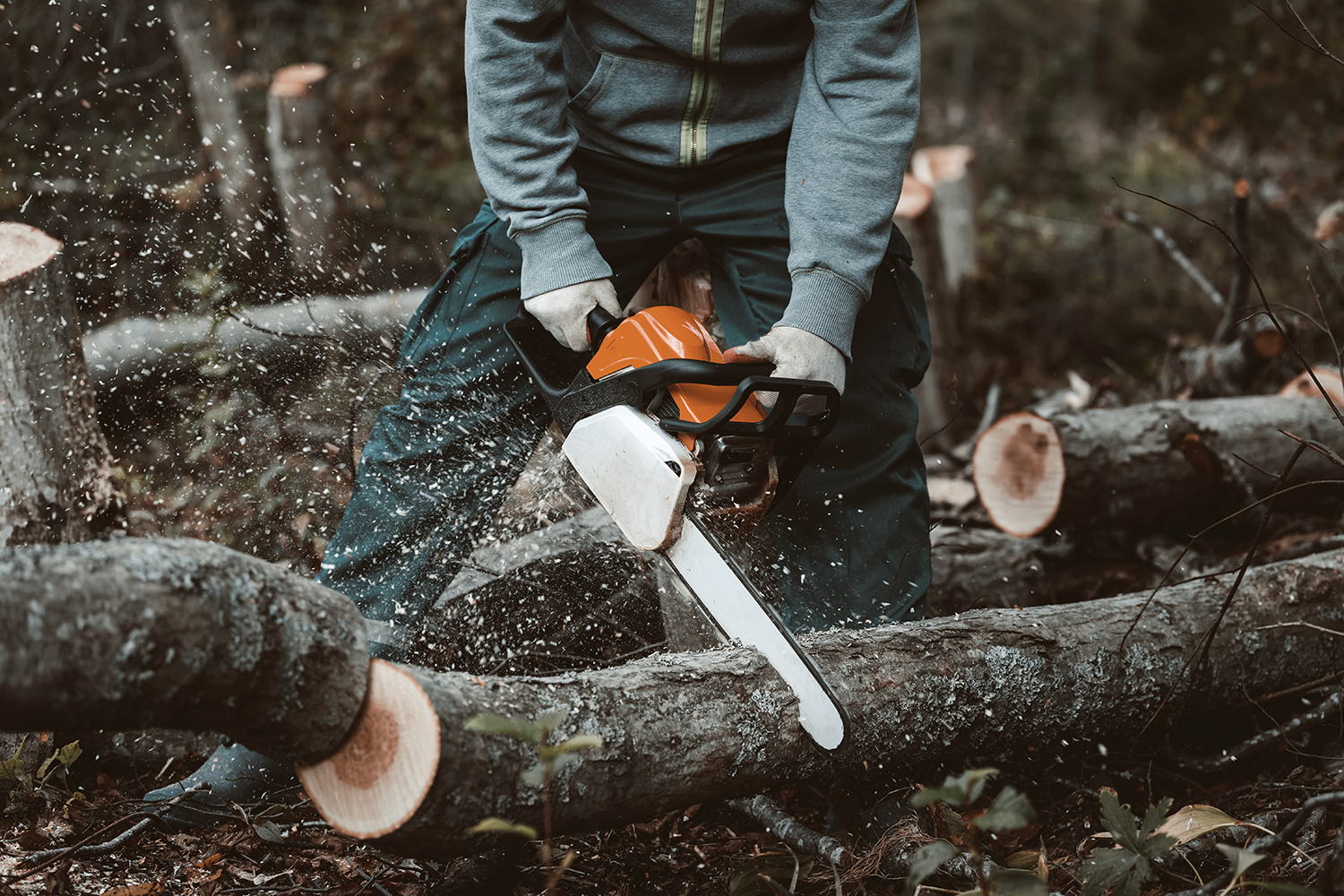 Бензопилы для заготовки дров и сада Stihl - ПИЛ - Инструменты для профессионалов
